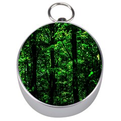 Emerald Forest Silver Compasses by FunnyCow