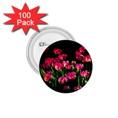 Pink Tulips Dark Background 1 75  Buttons (100 Pack)  by FunnyCow