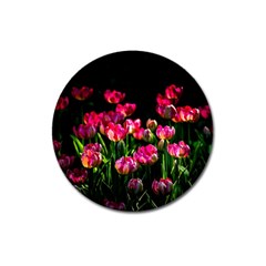 Pink Tulips Dark Background Magnet 3  (round) by FunnyCow