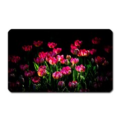 Pink Tulips Dark Background Magnet (rectangular) by FunnyCow