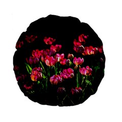 Pink Tulips Dark Background Standard 15  Premium Flano Round Cushions by FunnyCow