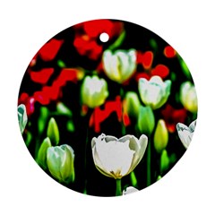 White And Red Sunlit Tulips Ornament (round) by FunnyCow