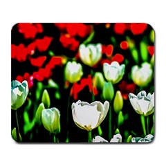 White And Red Sunlit Tulips Large Mousepads by FunnyCow