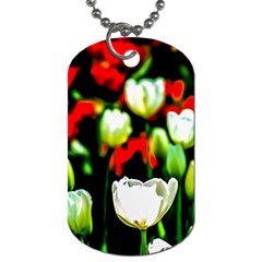 White And Red Sunlit Tulips Dog Tag (one Side) by FunnyCow