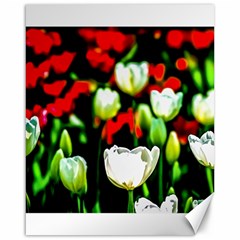 White And Red Sunlit Tulips Canvas 16  X 20   by FunnyCow