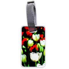 White And Red Sunlit Tulips Luggage Tags (one Side)  by FunnyCow