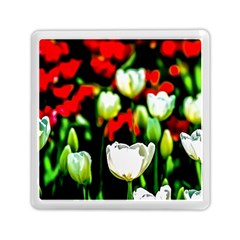 White And Red Sunlit Tulips Memory Card Reader (square) by FunnyCow