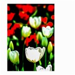 White And Red Sunlit Tulips Large Garden Flag (Two Sides) Front