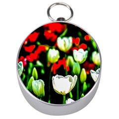 White And Red Sunlit Tulips Silver Compasses by FunnyCow