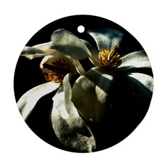 Two White Magnolia Flowers Ornament (round) by FunnyCow