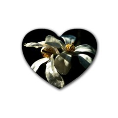 Two White Magnolia Flowers Rubber Coaster (heart)  by FunnyCow