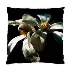 Two White Magnolia Flowers Standard Cushion Case (two Sides) by FunnyCow