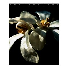 Two White Magnolia Flowers Shower Curtain 60  X 72  (medium)  by FunnyCow