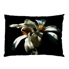 Two White Magnolia Flowers Pillow Case (two Sides) by FunnyCow