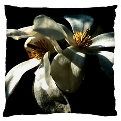 Two White Magnolia Flowers Large Cushion Case (one Side) by FunnyCow