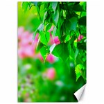 Green Birch Leaves, Pink Flowers Canvas 12  x 18   11.88 x17.36  Canvas - 1