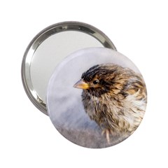 Funny Wet Sparrow Bird 2 25  Handbag Mirrors by FunnyCow