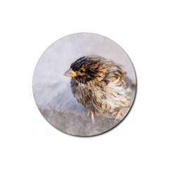 Funny Wet Sparrow Bird Rubber Coaster (round)  by FunnyCow