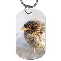 Funny Wet Sparrow Bird Dog Tag (one Side) by FunnyCow