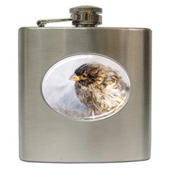 Funny Wet Sparrow Bird Hip Flask (6 Oz) by FunnyCow