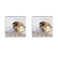 Funny Wet Sparrow Bird Cufflinks (square) by FunnyCow