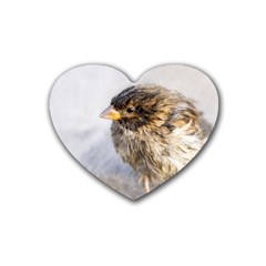 Funny Wet Sparrow Bird Rubber Coaster (heart)  by FunnyCow