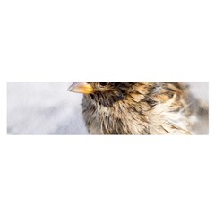 Funny Wet Sparrow Bird Satin Scarf (oblong) by FunnyCow