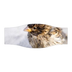 Funny Wet Sparrow Bird Stretchable Headband by FunnyCow