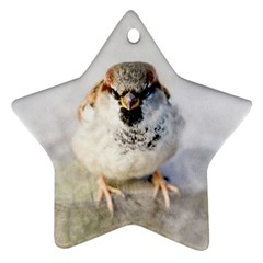 Do Not Mess With Sparrows Ornament (star) by FunnyCow