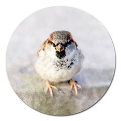 Do Not Mess With Sparrows Magnet 5  (round) by FunnyCow