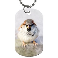 Do Not Mess With Sparrows Dog Tag (two Sides) by FunnyCow