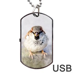 Do Not Mess With Sparrows Dog Tag Usb Flash (two Sides) by FunnyCow
