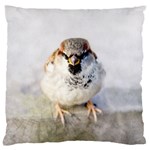 Do Not Mess With Sparrows Standard Flano Cushion Case (Two Sides) Front