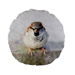 Do Not Mess With Sparrows Standard 15  Premium Flano Round Cushions by FunnyCow