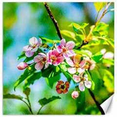 Crab Apple Flowers Canvas 12  X 12   by FunnyCow