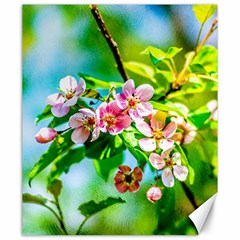 Crab Apple Flowers Canvas 20  X 24   by FunnyCow