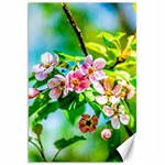 Crab Apple Flowers Canvas 20  x 30   19.62 x28.9  Canvas - 1