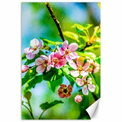 Crab Apple Flowers Canvas 24  X 36  by FunnyCow