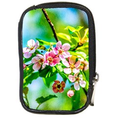 Crab Apple Flowers Compact Camera Cases by FunnyCow