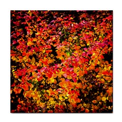 Orange, Yellow Cotoneaster Leaves In Autumn Tile Coasters by FunnyCow