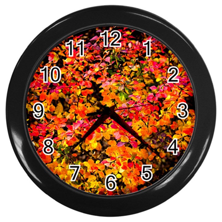 Orange, yellow cotoneaster leaves in autumn Wall Clock (Black)