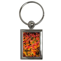 Orange, Yellow Cotoneaster Leaves In Autumn Key Chains (rectangle)  by FunnyCow