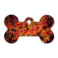 Orange, Yellow Cotoneaster Leaves In Autumn Dog Tag Bone (one Side) by FunnyCow