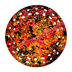 Orange, Yellow Cotoneaster Leaves In Autumn Ornament (round Filigree)