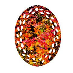 Orange, Yellow Cotoneaster Leaves In Autumn Oval Filigree Ornament (two Sides) by FunnyCow