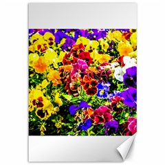 Viola Tricolor Flowers Canvas 12  X 18   by FunnyCow