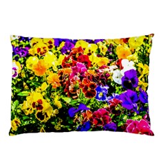 Viola Tricolor Flowers Pillow Case by FunnyCow