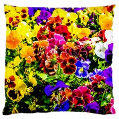Viola Tricolor Flowers Large Cushion Case (two Sides) by FunnyCow