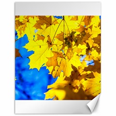 Yellow Maple Leaves Canvas 12  X 16   by FunnyCow