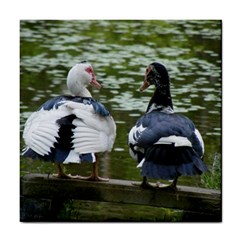 Muscovy Ducks At The Pond Tile Coasters by IIPhotographyAndDesigns